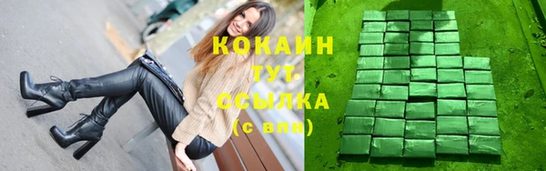 гашик Нея