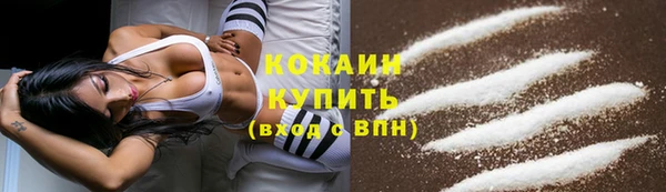 гашик Нефтекумск