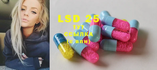 гашик Нея