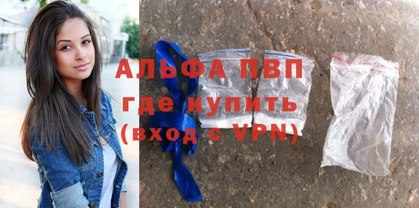 гашик Нефтекумск