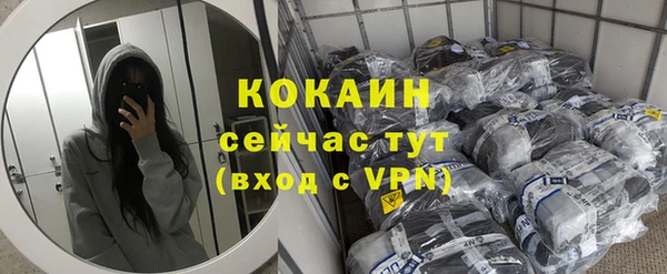 гашик Нефтекумск