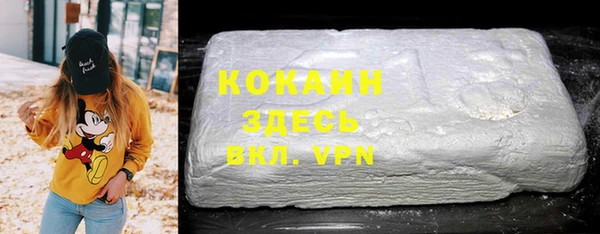 гашик Нея