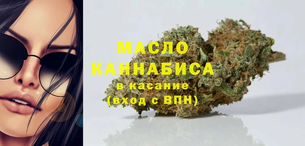 гашик Нея