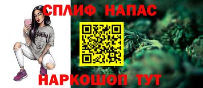 гидра Гай