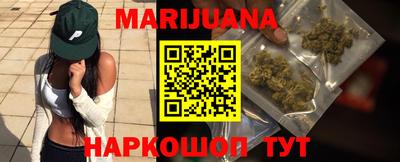 гидра Гай