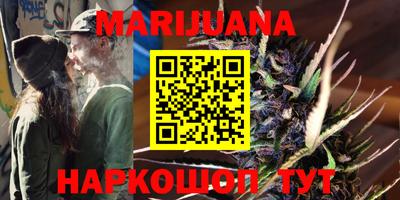 гидра Гай