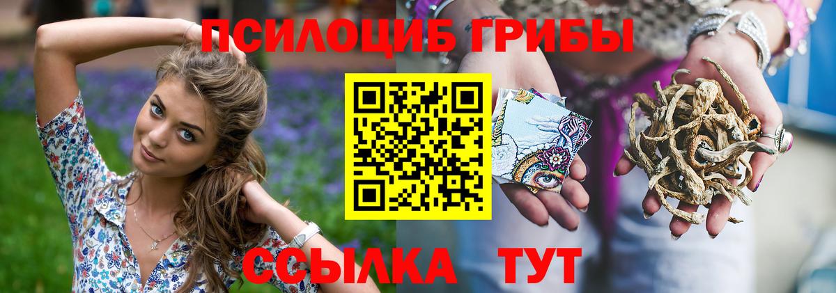 Галлюциногенные грибы мухоморы Кирово-Чепецк