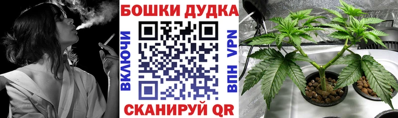 Марихуана White Widow  сколько стоит  Кирово-Чепецк 